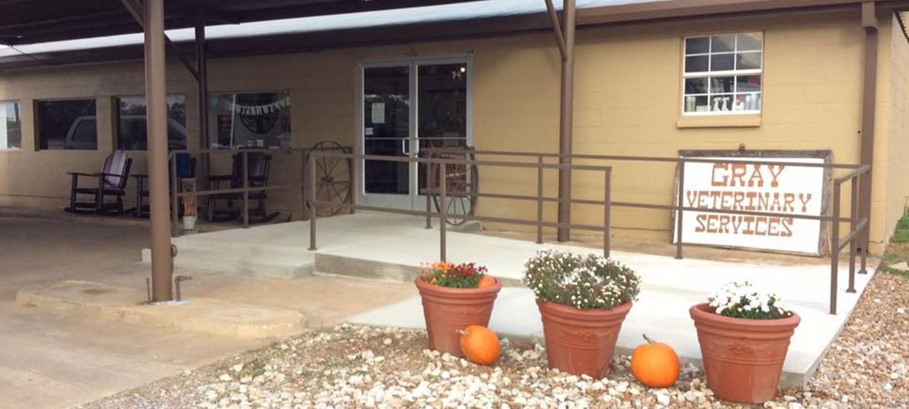 Veterinarian in Trenton and Honey Grove, TX